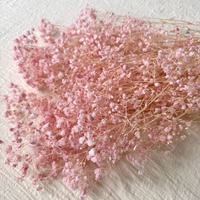 Fleur naturelle préservée de qualité supérieure, longue durée, pour bouquet de mariage, couronne de Noël, décoration intérieure