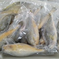 En gros Haute Qualité Délicieux Petit Poisson Croaker Jaune Fabricants