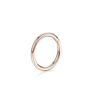 Anillo de Segmento con Bisagra de <span class=keywords><strong>Titanio</strong></span> ASTM F136 Calibre 16G para <span class=keywords><strong>Piercing</strong></span> de <span class=keywords><strong>Nariz</strong></span> y Aretes, Joyería Corporal - Product Image 1