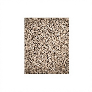 Semillas de Comino Indio Natural de Alta Pureza, Secas, Procesadas AD, Crudas, Tamaño Grande, Listas para Exportación, Empaquetadas - Product Image 3