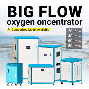 Nieuwe Industriële Zuurstofgenerator 40l Hooggelegen Metalen Behuizing Zuurstofconcentrator Op Wielen 220V - Product Image 2