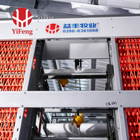 Cage à poules de type H à 4 niveaux avec alimentation et abreuvement automatiques, collecte des œufs, courroie de fumier et abreuvoir à tétine, certifiée CE, pour ferme avicole