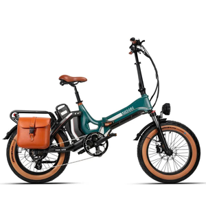 Ebike <strong>Motorcycle</strong> 1000W Motor 48V All-Terrain Folding <strong>Electric</strong> Bike High-Capacity 7-Speed Lithium Battery and Rugged Steel Frame - Product Image 1