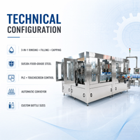 Machine de remplissage d'eau industrielle automatique en acier inoxydable 3-en-1 : Rinçage, remplissage et bouchage pour l'emballage des bouteilles d'eau
