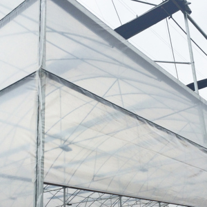 Maxpower 4 X 8 M <strong>Greenhouse</strong> Film <strong>Replacement</strong> Clear Plastic Sheeting Roll Polythene <strong>Cover</strong> - Product Image 4