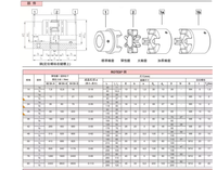 German Imported KTR ROTEX Steel Coupling (Sizes 19-75)