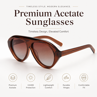 Lunettes de soleil vintage en acétate pour hommes, lunettes de soleil rétro de luxe pour femmes, surdimensionnées, avec logo personnalisé, lunettes tendance, vente en gros