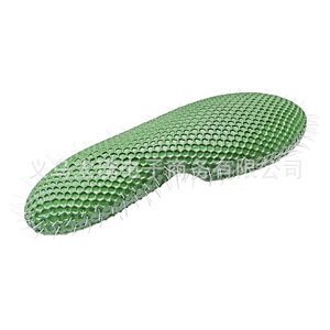 Modèle Paramecium : Un modèle de recherche et de démonstration pour l'enseignement de la biologie en classe au collège et au lycée. - Product Image 4