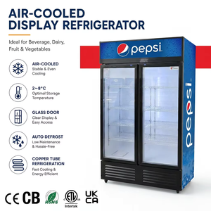 Frigorifero Commerciale a Due Porte con Temperatura Singola, Controllo Meccanico, Porta in Vetro, LED, Ripiani Regolabili, Refrigeratore per Bevande - Product Image 3
