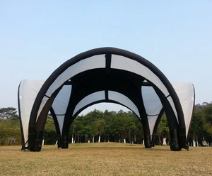 Aoli Deporte al aire libre Publicidad Puerta de Pilar inflable Evento Exposición Carrera deportiva Inicio Acabado Arco Carpas inflables - Product Image 2