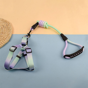 สายจูงสุนัขและสายรัดไนล่อนสีสันสดใสปรับได้พร้อมห่วงรูปตัว D คู่ - Product Image 3