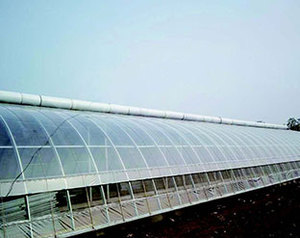 Invernadero agrícola solar de un solo rango, a la venta, buen precio - Product Image 5