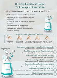無煙運動器具電気ロボットモクサ装置健康用サウナ & センターマッサージ治療装置利用可能 - Product Image 6