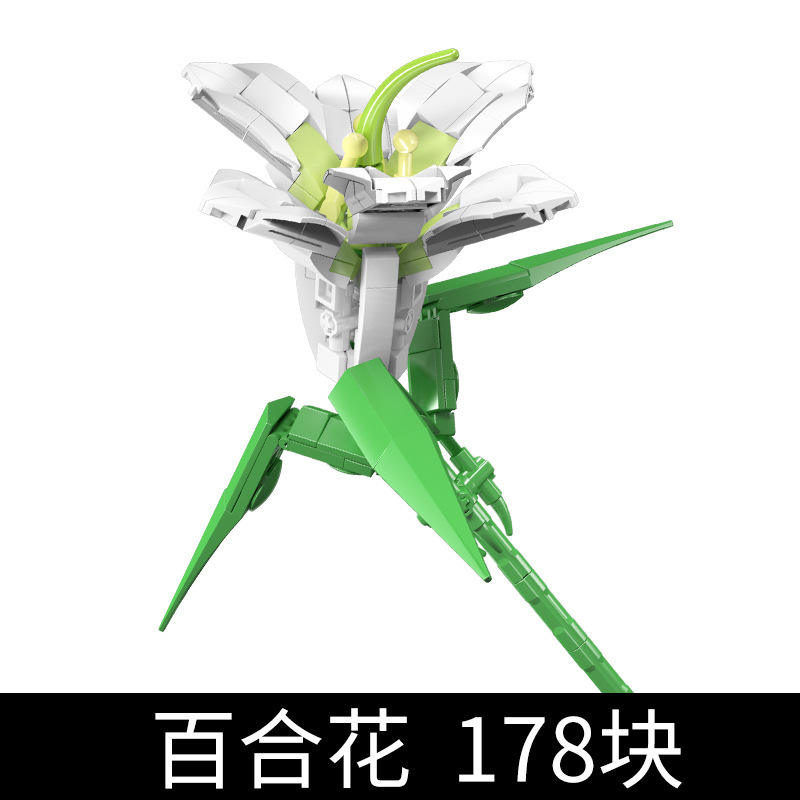 24001 ลิลลี่