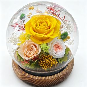 Cúpula de Cristal con Rosa Eterna, Regalo de San Valentín, Artículo Decorativo, Cúpula de Cristal Esférica de Navidad <span class=keywords><strong>para</strong></span> <span class=keywords><strong>Mi</strong></span> <span class=keywords><strong>Novia</strong></span> - Product Image 1