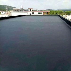 Revêtement imperméable en polyuréthane à base d'eau, écologique, inodore, bicomposant - Product Image 6