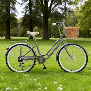 Bicicleta Urbana Vintage para Mujer, Venta al Por Mayor de Fábrica, 24/26 Pulgadas, para Desplazamientos Diarios en la Ciudad - Product Image 5