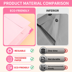 Cartella di conservazione dell'organo nel caso in cui vada a mancare I file tascabili di Manila - Product Image 3