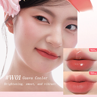 Brillo de labios de larga duración de doble textura Alto brillo Vegano Libre de crueldad Labio Plumping Mate y brillante Fórmula líquida Proveedor Indonesia