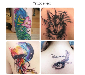 Kit de tatuaje profesional 2 Gun <span class=keywords><strong>Dragonhawk</strong></span> Kit de tatuaje rotativo Juego de máquina Kit de tatuaje Juego completo Maquillaje permanente con tintas - Product Image 5