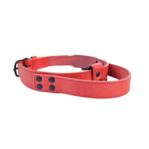 Collar de Cuero Genuino Personalizable Kangdarpet para Perros - Collar Táctico con Agarre Manual para Control Antitirones - Product Image 3