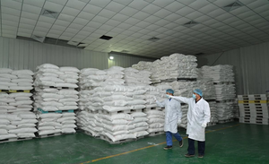 Carboximetilcelulosa de Sodio (CMS) para Mejorar la Viscosidad Textil, Marca YONGXING POLYMER, 100% Pureza, CAS 9063-38-1, Hecho en China - Product Image 6