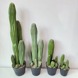 Plantes artificielles en plastique, <span class=keywords><strong>cactus</strong></span> artificiel, décoration de jardin, <span class=keywords><strong>cactus</strong></span> pour intérieur, extérieur, maison, bureau, plantes artificielles - Product Image 1