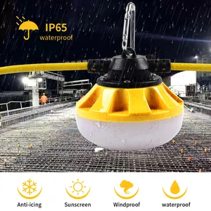 Best Factory Wholesale Price 100FT Construction String Lights 100W 12000LM IP65 Waterproof Led Work Light Industrial Temporary