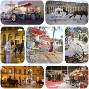 Chariot de Noël en forme de citrouille blanche ajourée, idéal pour les mariages et la décoration extérieure – Offre Spéciale - Product Image 6