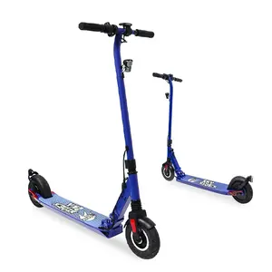 Yetişkin elektrikli scooter hafif, taşınabilir ve katlanabilir 250w