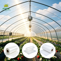 Film de paillage en LDPE en gros, plat, PO 200 microns, 150 microns, longue durée de vie, pour jardinage et agriculture, couverture plastique pour tomates