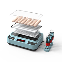 Incubateur à œufs petit et bon marché entièrement automatique à double alimentation 36 œufs à vendre