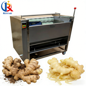 Machine de lavage et de pelage à petite échelle pour usage commercial de gingembre frais, lotus, patates douces, carottes, châtaignes d'eau, pommes de terre, ignames et taro - Product Image 6