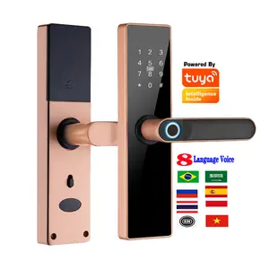 TUYA APP 8 Sprache Voice WiFi Smart Türschloss Elektrischer biometrischer Finger abdruck Türgriff Digital Keyless Smart Türschloss