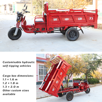 Aboboyaa, l'une des meilleures ventes de tricycles Zongshen 150cc 175cc à essence pour distribution d'eau à usage commercial au Ghana