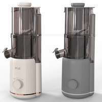 Oem/Odm Groothandel Elektrische Slow Juicer Machine Modern Design Koude Pers Plastic Mes Voor Het Kauwen Van Fruit Voor Huishoudelijk Gebruik Rv