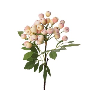 2025 Mới Bất Cảm Ứng Nhân Tạo Hoa Quả Bó Hoa Với Lá Trái Cây Cho Nhà Phòng Khách Tabletop Trang Trí - Product Image 5