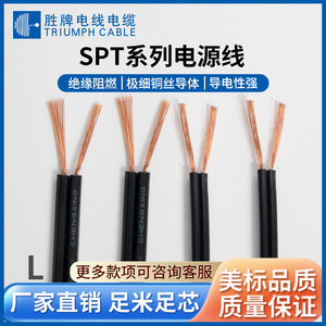 Triumph <b>Cable</b> Spt 1 <b>Power</b> Cord Tinned Double Parallel Wire Pure Copper Black Flat <b>Cable</b> For Electrical Equipment Internal Parts - Product Image 5