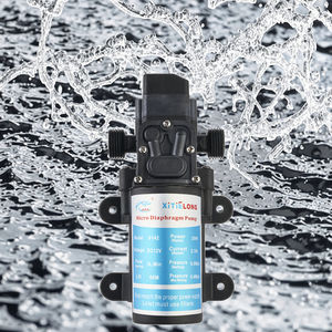 Xtl - Product Image 3