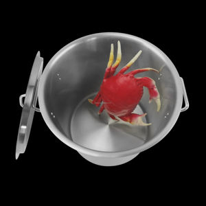 Olla para Sopa de Acero Inoxidable NSF de Diseño Clásico con Tapa, Apta para Gas e Inducción - Product Image 3