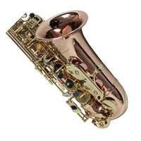 Wholesale Woodwind Customization Instrument Musical Instruments Article Pour Saxophone Alto
