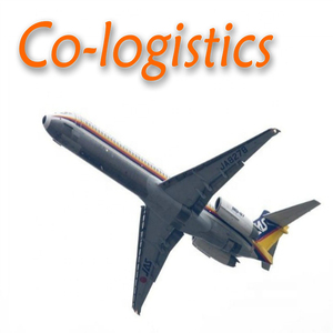 Oferta Especial: Servicio Aéreo Puerta a Puerta DDP a <span class=keywords><strong>Indonesia</strong></span> - Product Image 2