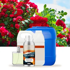 Best Seller all'ingrosso di lunga durata profumo di profumo aromatico olio di profumo di olio In Dubai profumo essenziale di fragranza olio