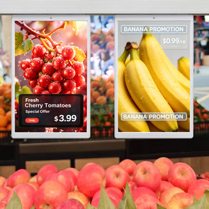 ป้ายแสดงราคาอิเล็กทรอนิกส์แบบแขวนสองด้าน ขนาด 10.1 นิ้ว พร้อมระบบอัปเดต Ota, NFC และจอ LCD สำหรับซูเปอร์มาร์เก็ต - Product Image 1