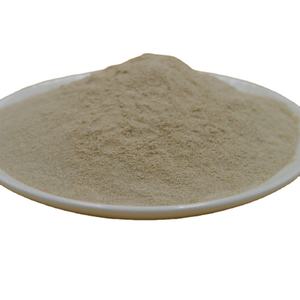<span class=keywords><strong>SHAN</strong></span> <span class=keywords><strong>YAO</strong></span>/Rhizoma Dioscoreae 5:1/plante herbacée de haute qualité produits frais grande stock approvisionnement d'usine - Product Image 1