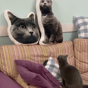 New Style <span class=keywords><strong>Cat</strong></span> Dog Kissen Wasch bar Atmungsaktiv DIY Personal isierte Geschenk Haustier Benutzer definierte Kissen Kissen-Festival Liebhaber Abschluss geschenk - Product Image 4