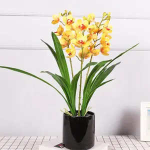 QiHao 3 kaynaklanıyor 8 kafaları gerçek dokunmatik orkide çiçek bitki Bonsai yapay Cymbidium orkide satılık