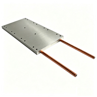 Plaque de refroidissement liquide personnalisée 125*250*12mm avec tubes en cuivre OD8 plaque de refroidissement par eau dissipateur thermique à plaque froide en aluminium