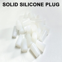 Bouchon conique en silicone blanc résistant aux hautes températures pour trous et revêtements par pulvérisation