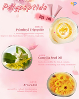 Huile à lèvres polypeptidique à marque privée, huile de graines de camélia, gloss nourrissant, extrait d'arnica, traitement réparateur des lèvres, usage professionnel en salon de maquillage